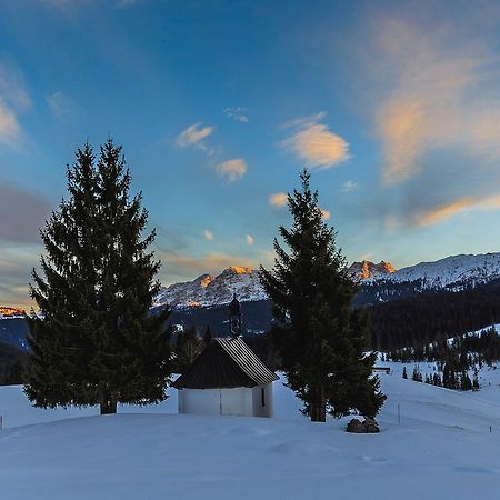 Mein Chalet Reit im Winkl Dış mekan fotoğraf