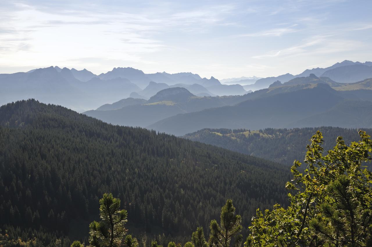 Mein Chalet Reit im Winkl Dış mekan fotoğraf