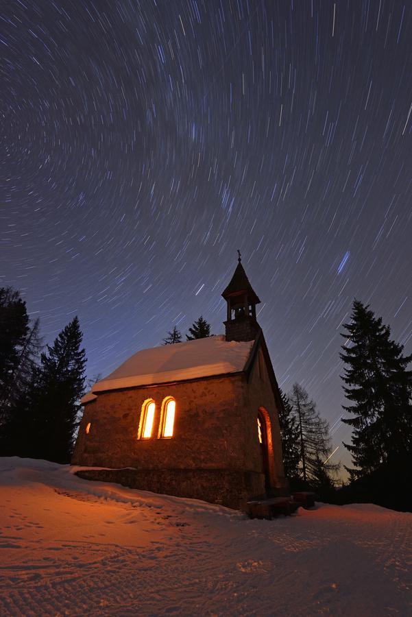 Mein Chalet Reit im Winkl Dış mekan fotoğraf